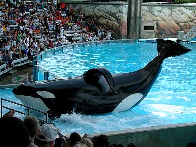 disney_2000_127_Disney2000 Sea World 30 May358.JPG